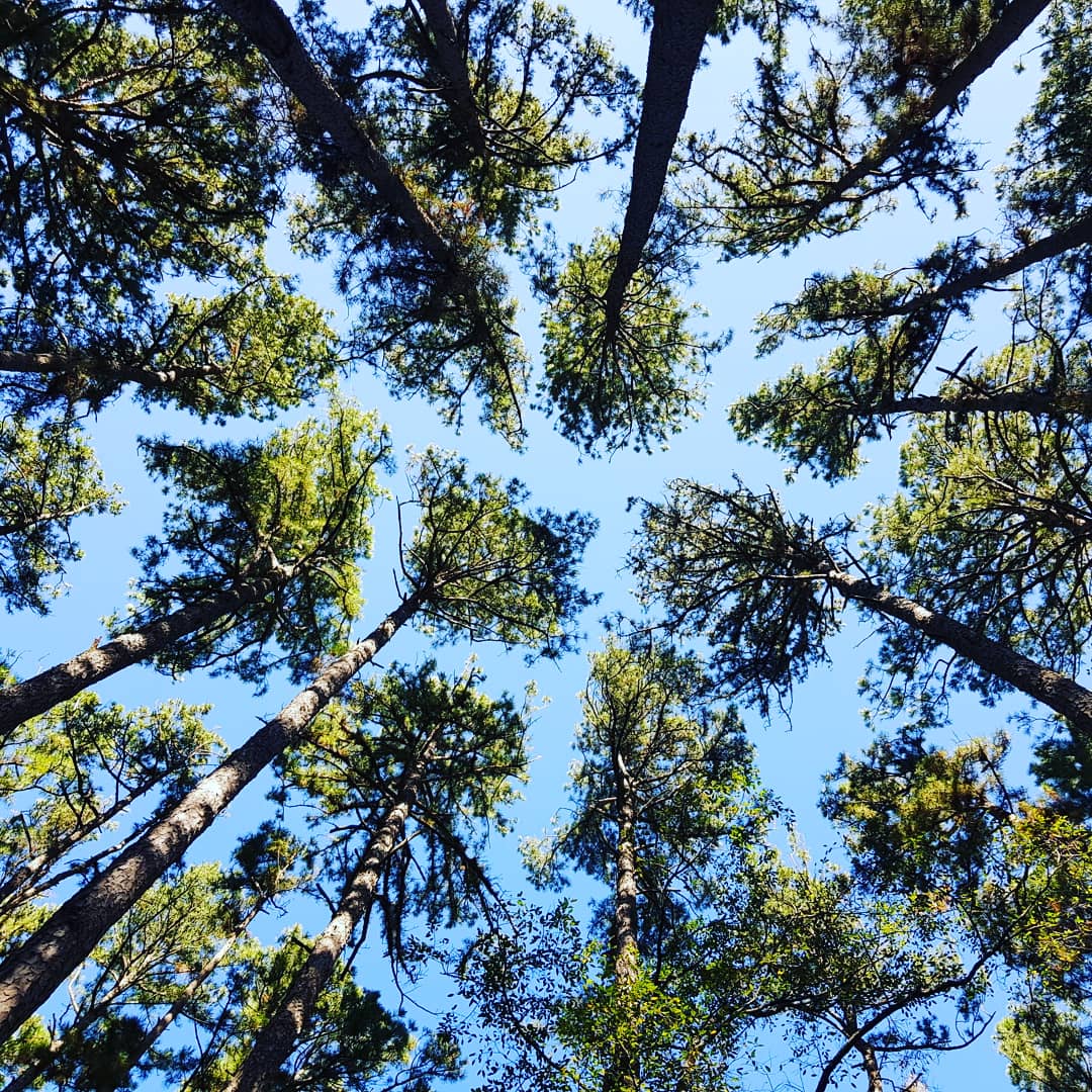 First camp of the season