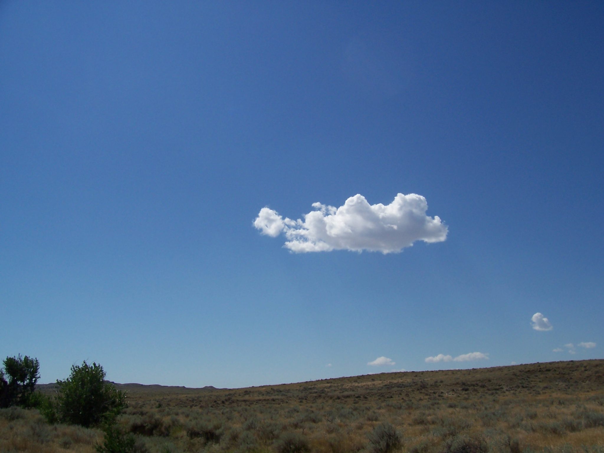 “I Wandered Lonely as a Cloud” by William Wordsworth