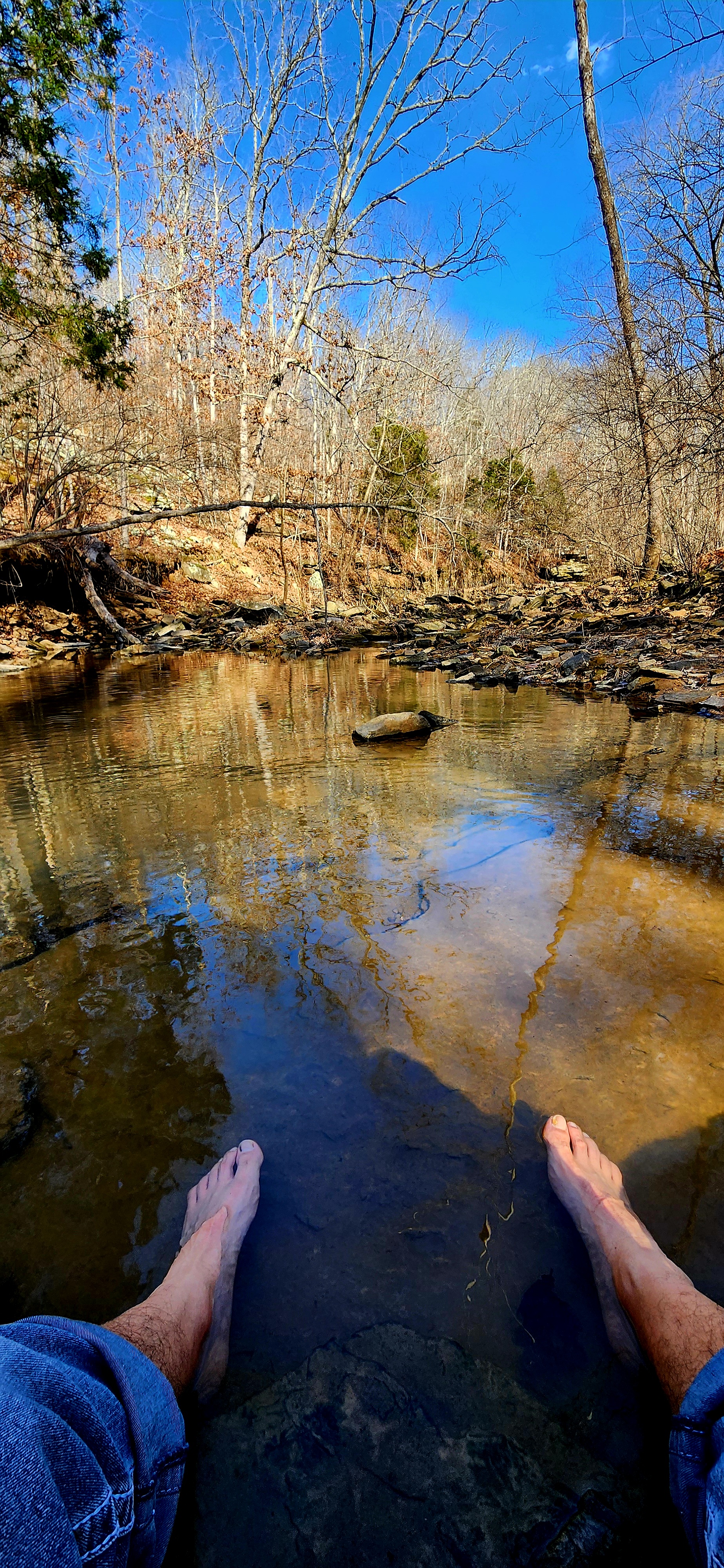Anybody Else Just Need to Connect With Nature?