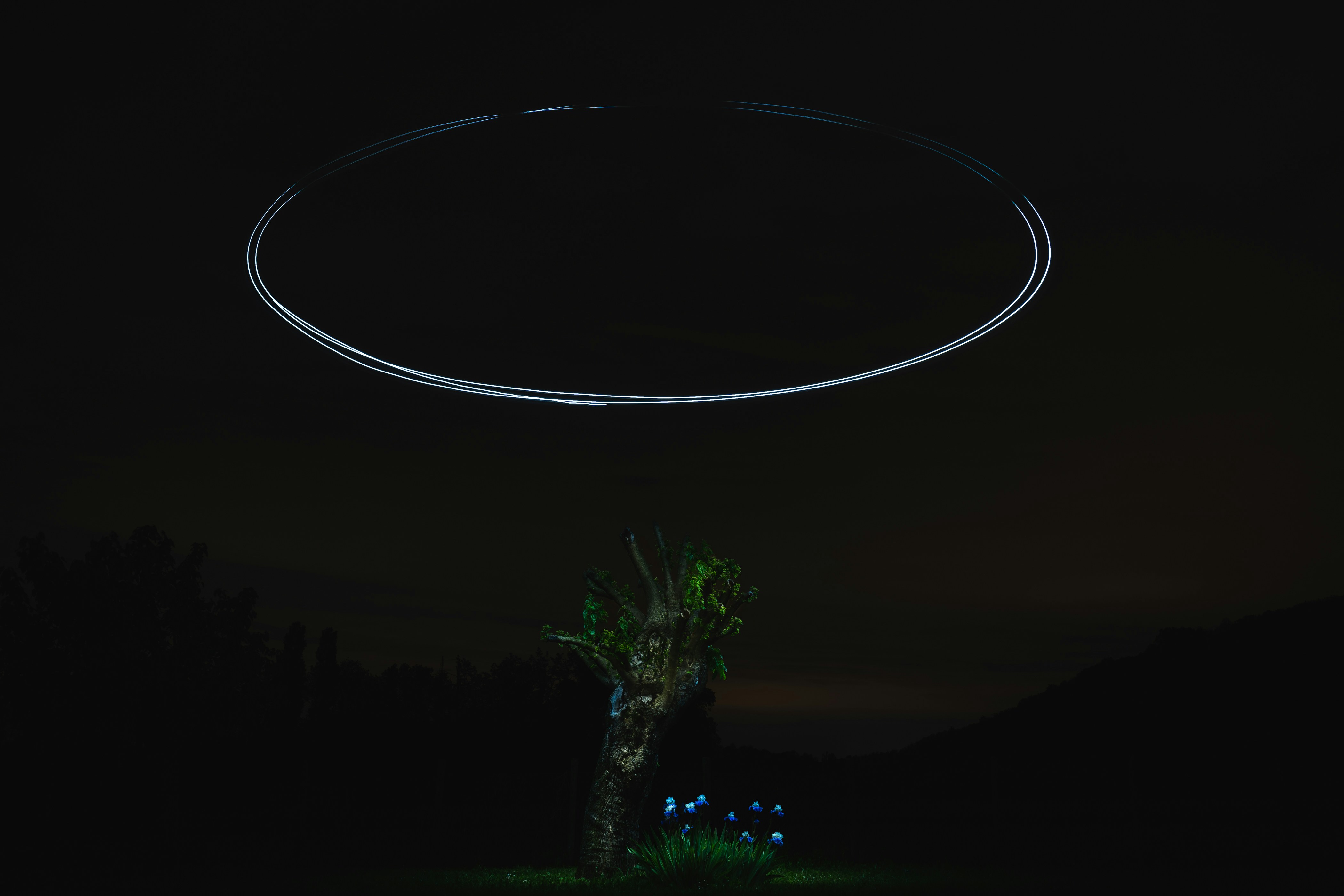 When Sci‑Fi Becomes Reality: My Encounter with a Mysterious Metal Orb